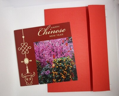 Chinese New Year Card 1( Orange Trees and Pink Flowers)