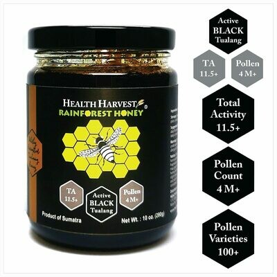 (B3) Tualang Black Honey 280g / 10oz