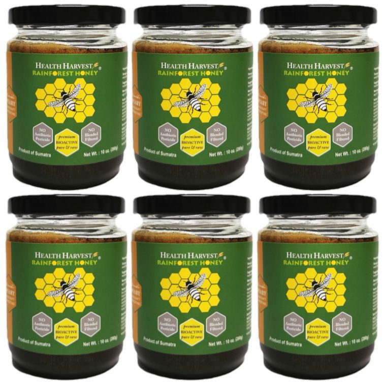 [E2] SUMATRA RAINFOREST HONEY 10oz/280g x 6 | Premium Authentic Raw &amp; Bioactive