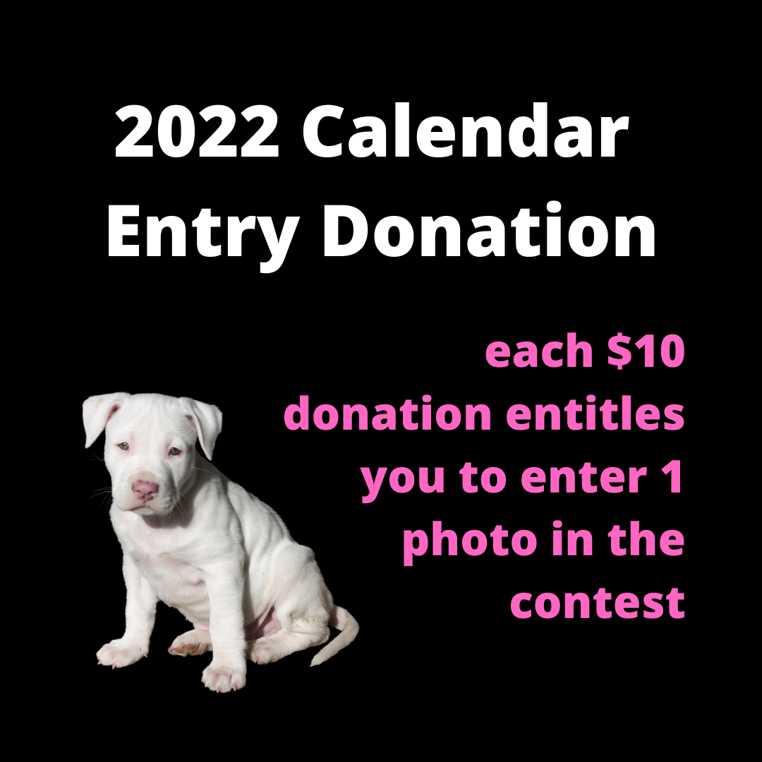 2022 Calendar Entry Donation