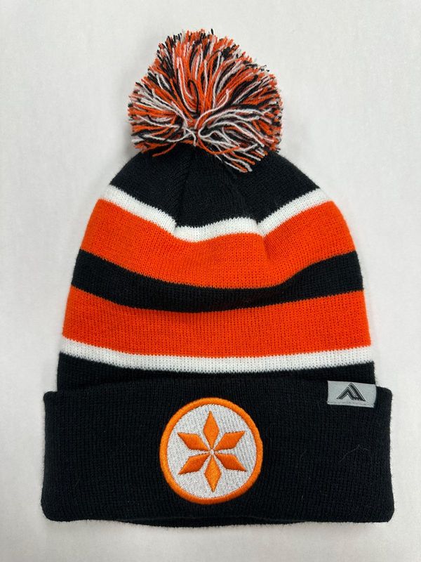 Knit Fold Over Pom-Pom Toque