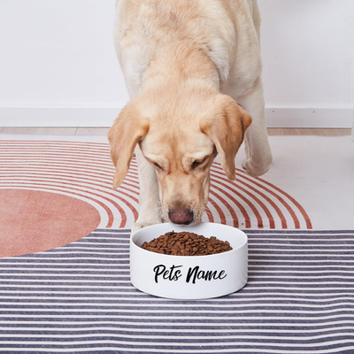 Custom Ceramic Dog Bowl - Personalize with Your Pet&#39;s Name