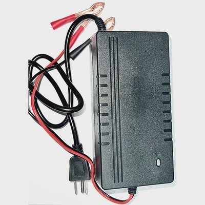 12v 8A LiFePO4 charger