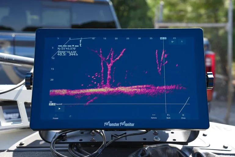 Monster Marine FOCUS 19/DISPLAY