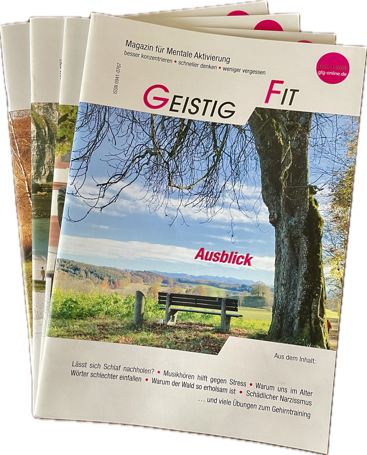 GEISTIG FIT Jahrgang 2022 (4 Hefte)