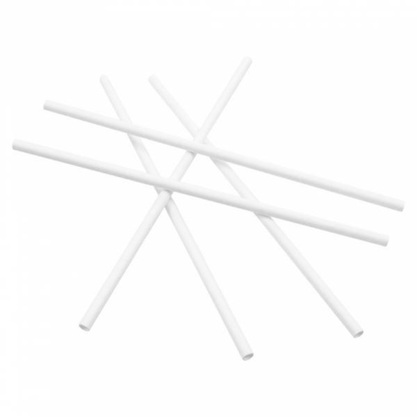 Pailles en papier droite 20 cm - 250 U