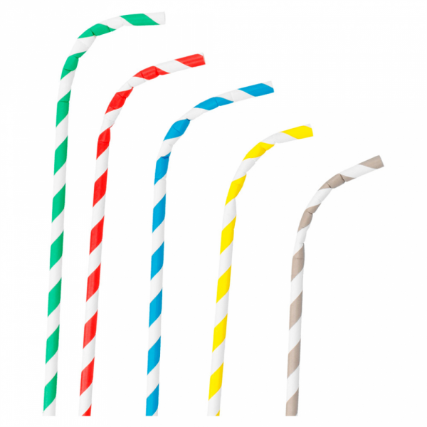 Pailles en papier flexible multicolore 23 cm - 250 U