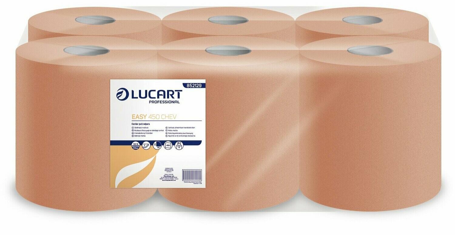 Papier essuie tout Easy 450 CHEV - 6 rouleaux
