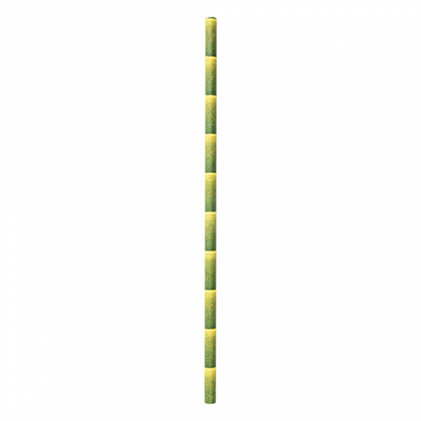 Pailles en papier droite estampillé bambou 21 cm - 250 U