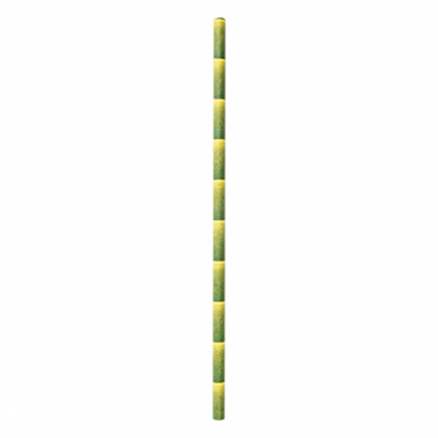 Pailles en papier droite estampillé bambou 21 cm - 250 U