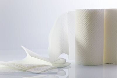 Papier essuie tout