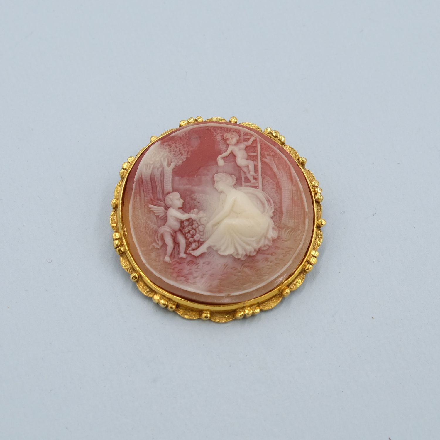 Vintage Plastic Cameo Brooch 1990s