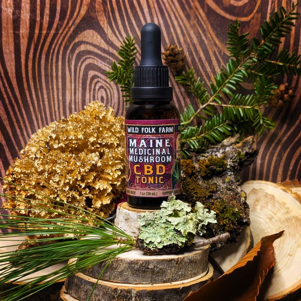 Maine Medicinal Mushroom CBD Tonic 1oz (30ml) / 200mg CBD