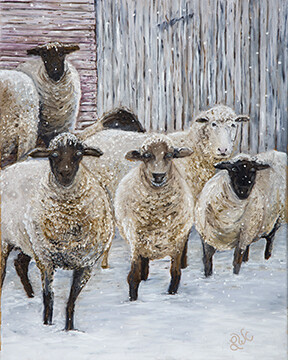 “I  Know My Sheep”
