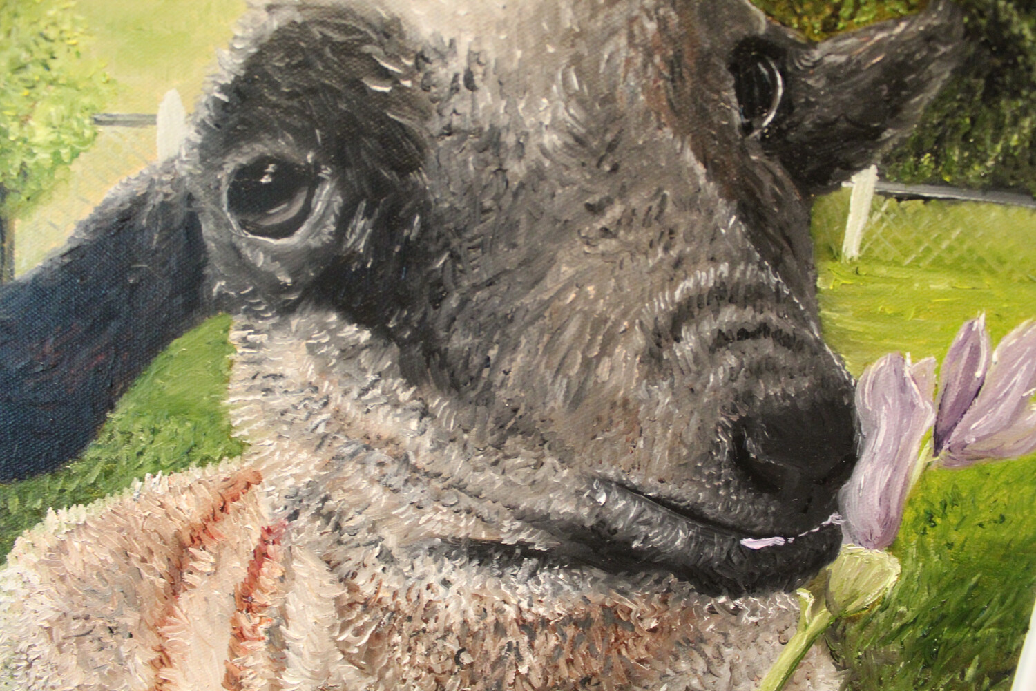“Feed My Sheep”