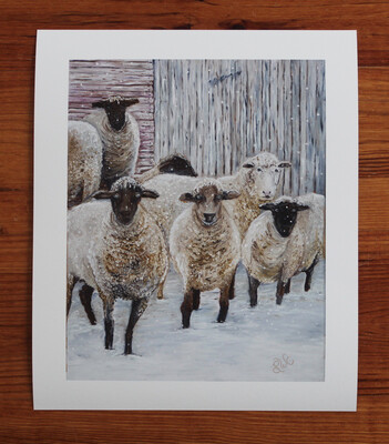 “I Know My Sheep” Print