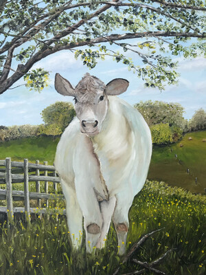 “Under The Shade Tree”