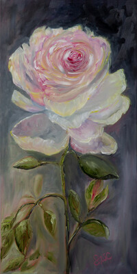 “The American Rose”
