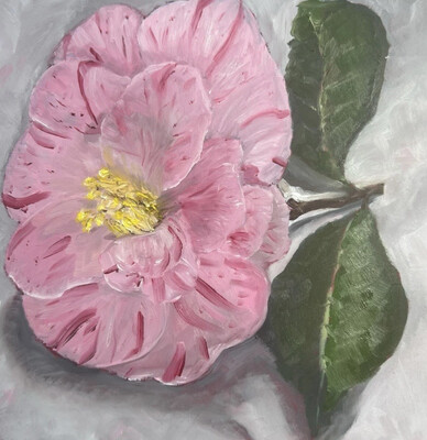 “Pink Camellia”