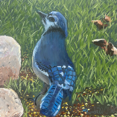 “BlueJay”
