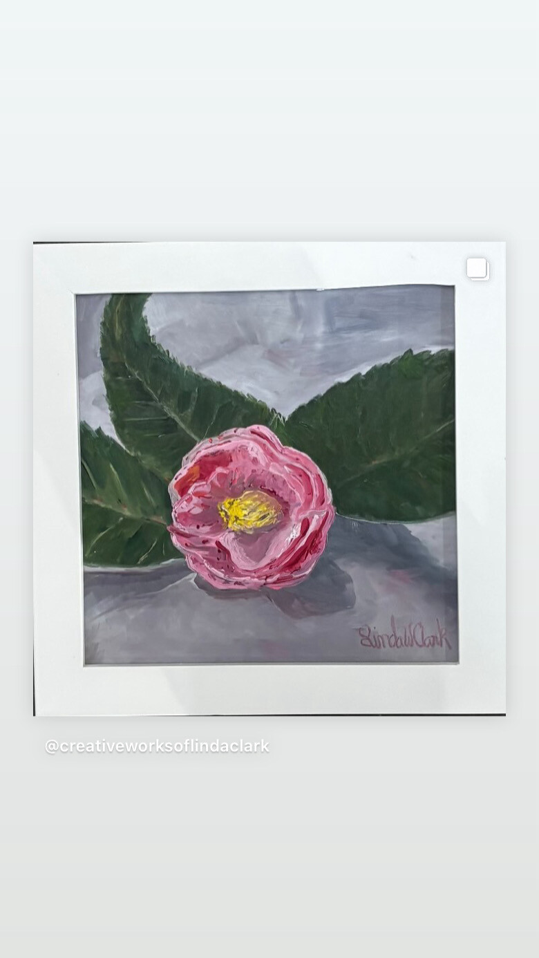 “Camellia Opening Bloom”