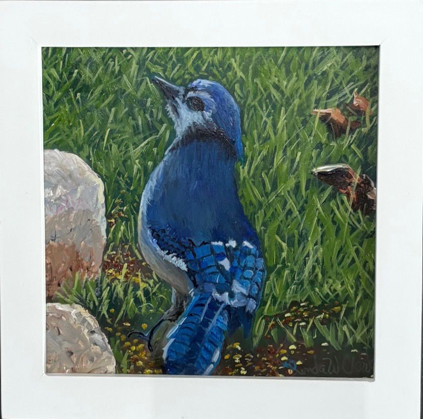“BlueJay”