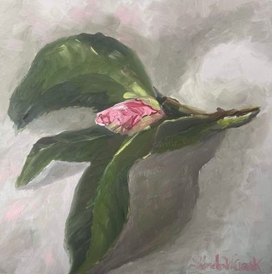 “Camellia Bud”