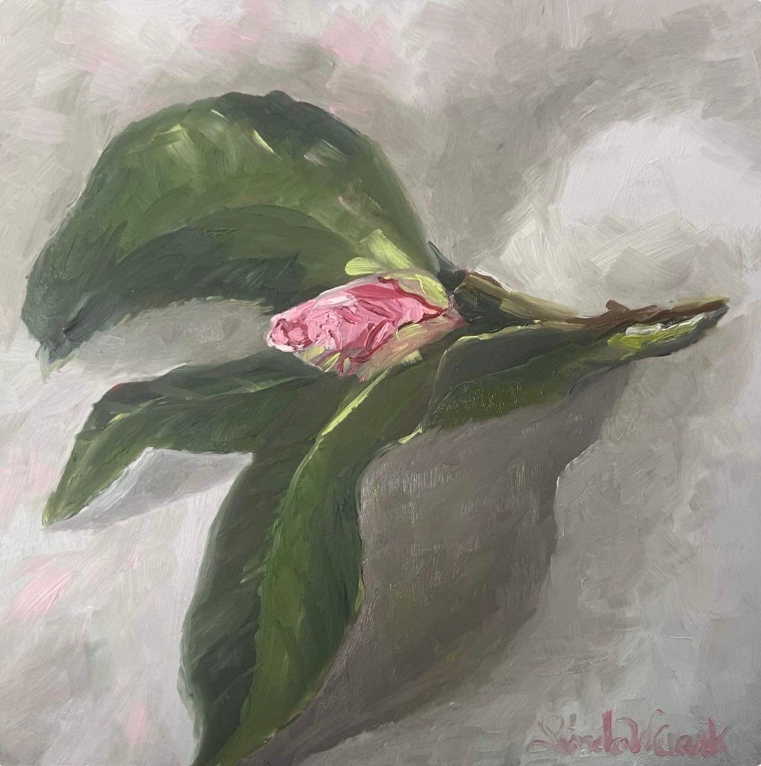 “Camellia Bud”