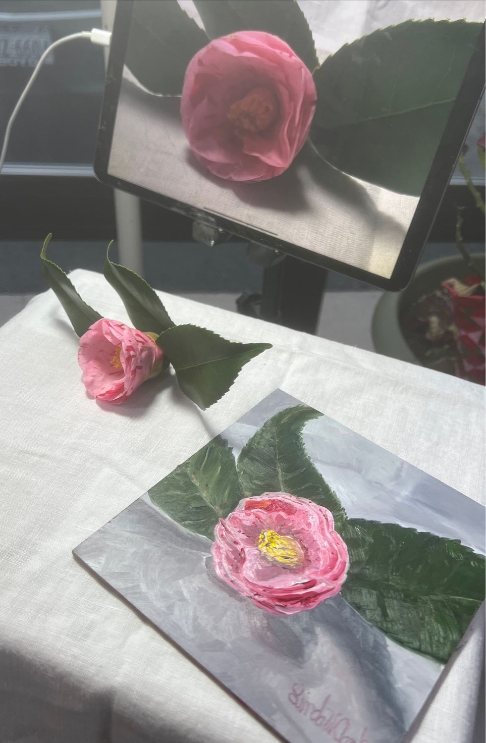 “Camellia Opening Bloom”