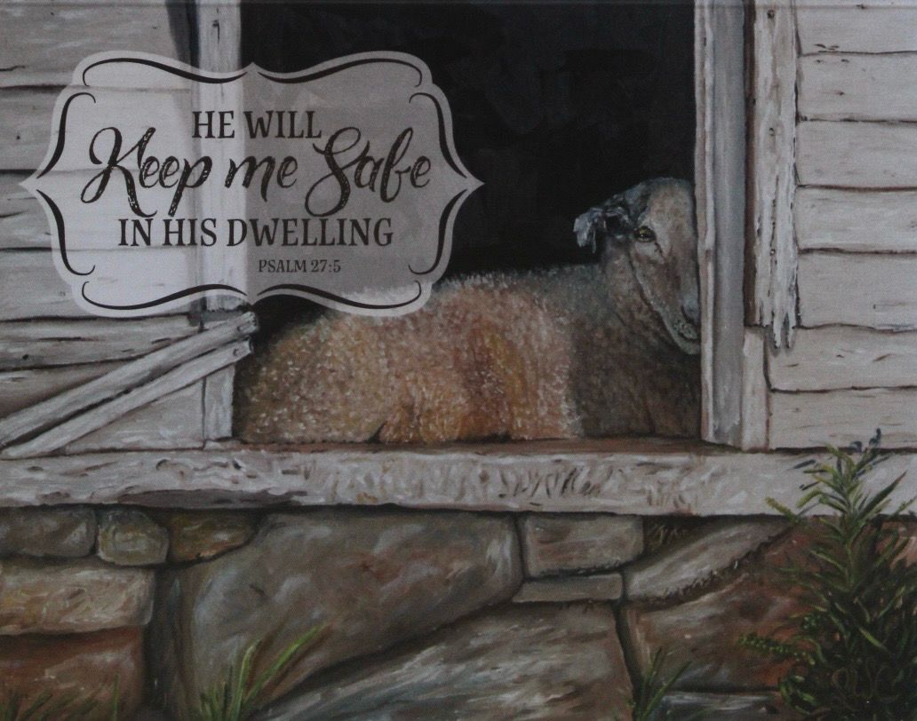 Sheep Series Notecards