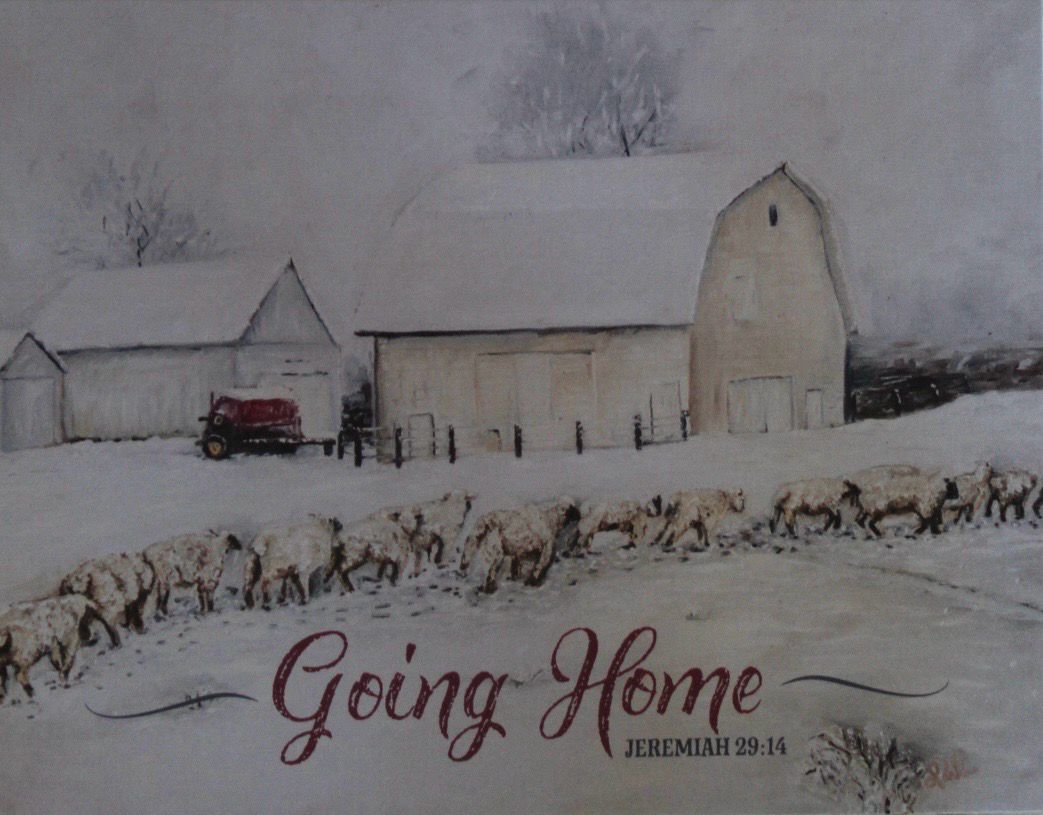 Sheep Series Notecards