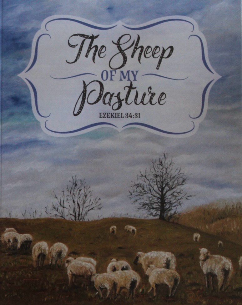 Sheep Series Notecards