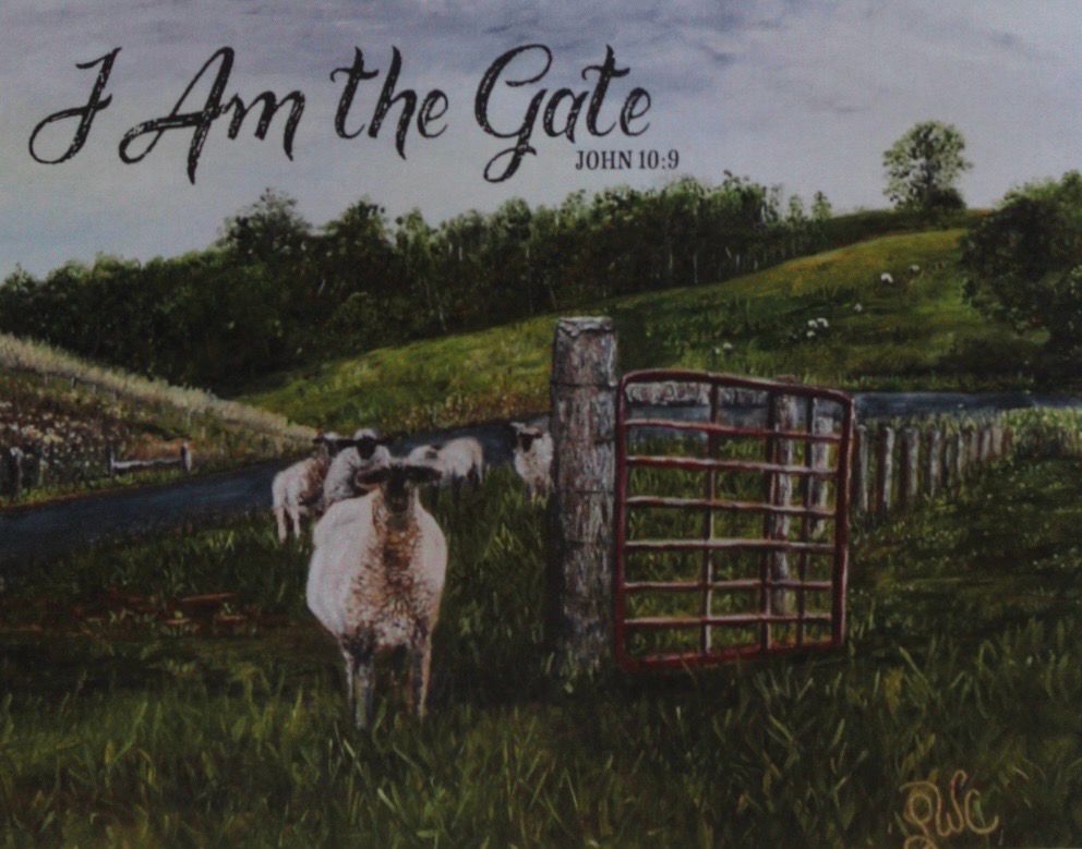 Sheep Series Notecards