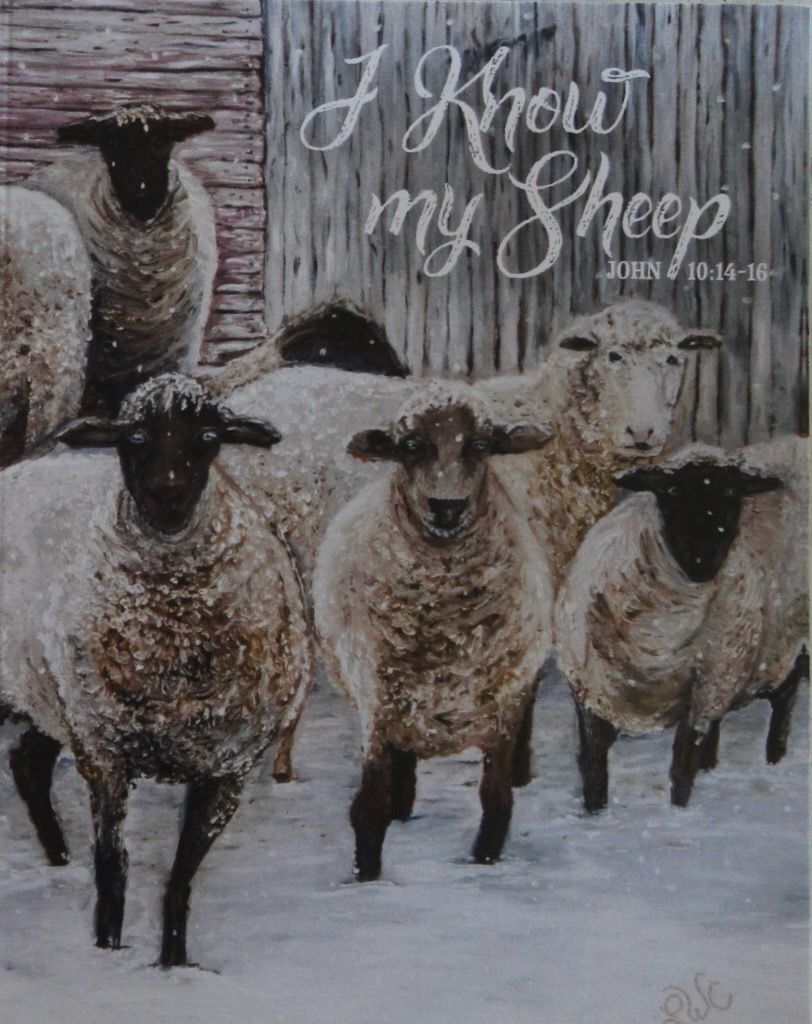 Sheep Series Notecards