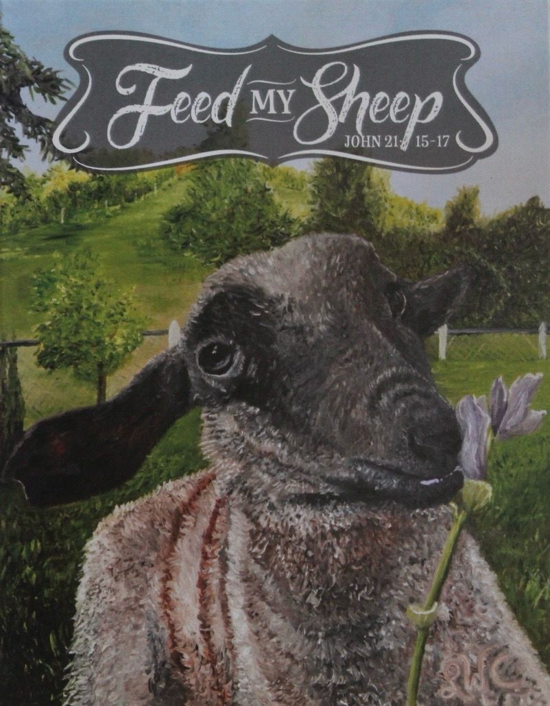 Sheep Series Notecards