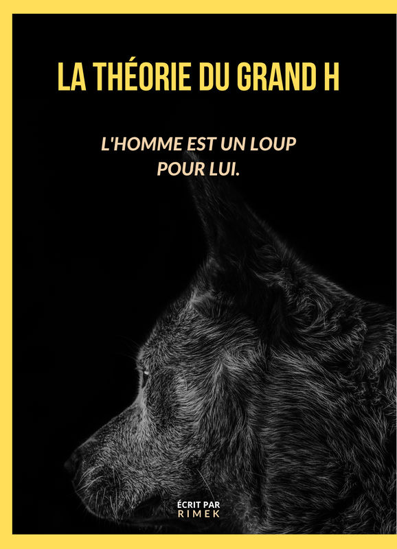 La théorie du Grand-H (livre papier) (sociologie)