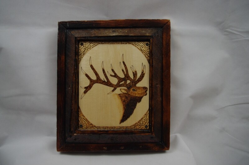 Bull Elk with Antique Barnwood Frame
