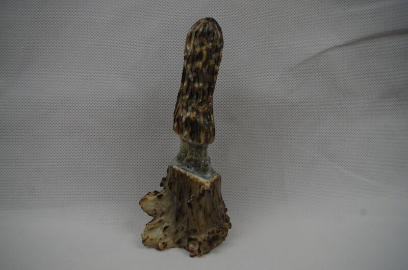 Set of Elk Antler Morel Mushrooms