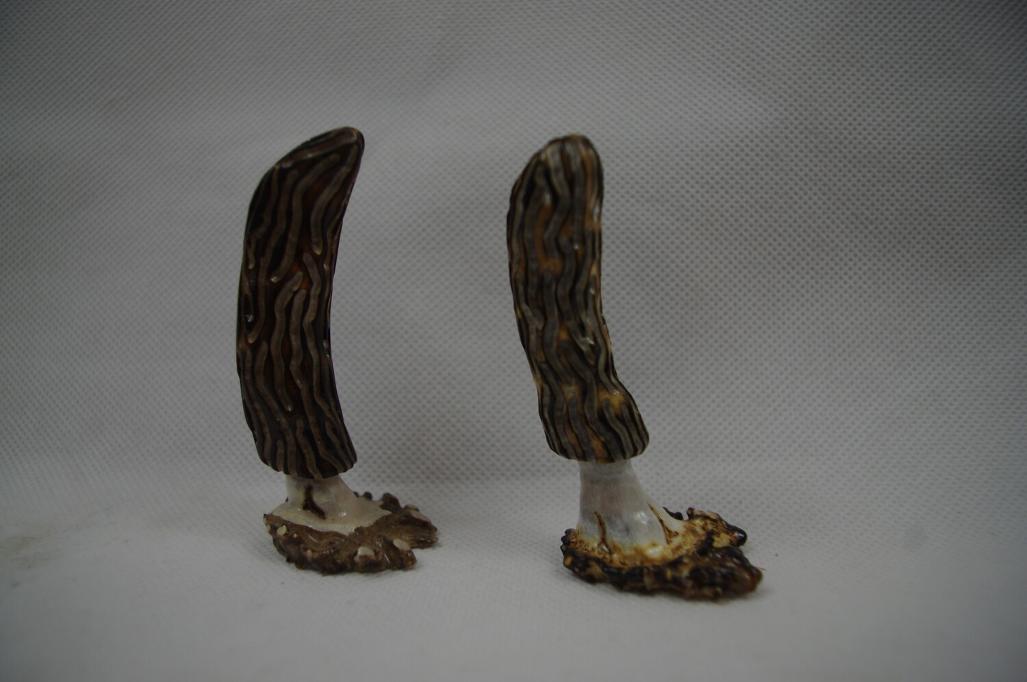 Set of Mule Deer Antler Hand Carved Morel Mushrooms