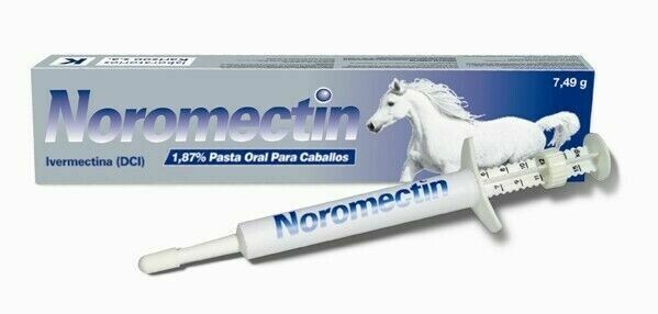 NOROMECTIN PASTA CABALLOS GEL 1 CABALLOS Y POTROS 1