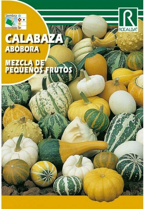 CALABAZA MEZCLA DE PEQUEÑOS FRUTOS