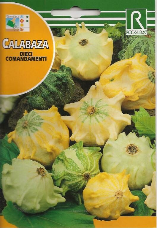 CALABAZA DIECI COMANDAMENTI