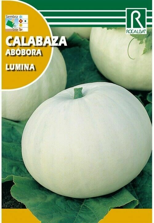CALABAZA LUMINA