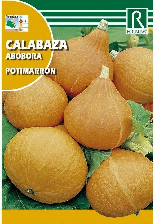 CALABAZA  POTIMARRON