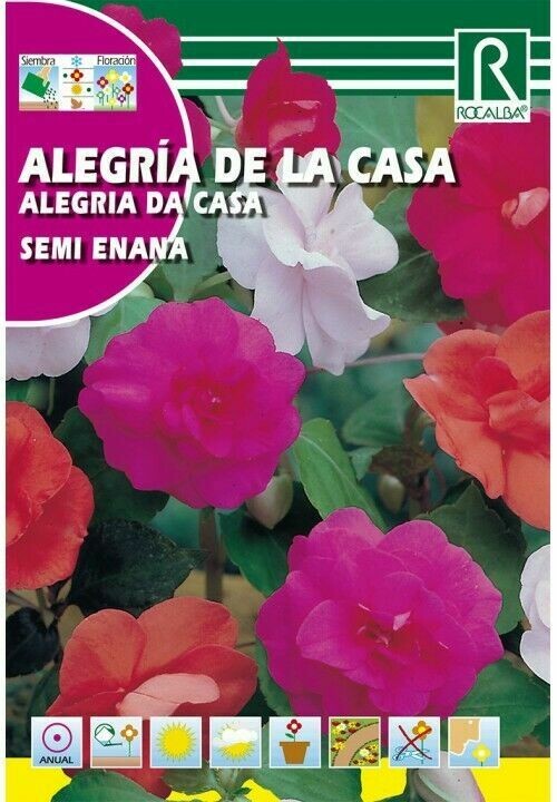 FLORES ALEGRIA DE LA CASA