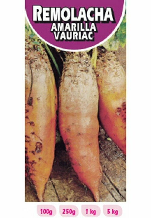 REMOLACHA AMARILLA VAURIAC 250 GRS