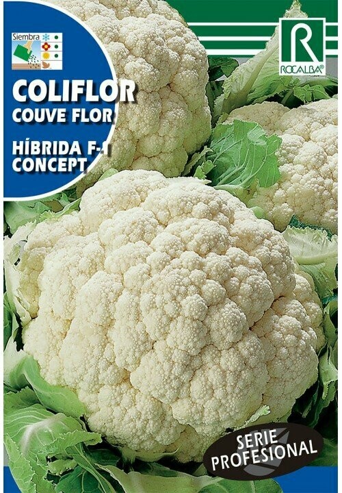 HORTALIZAS PROFESIONAL COLIFLOR HIBRIDA F-1 CONCEPT