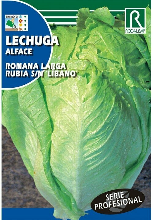 HORTALIZAS PROFESIONAL LECHUGA ROMANA LARGA RUBIA S/N LIBANO