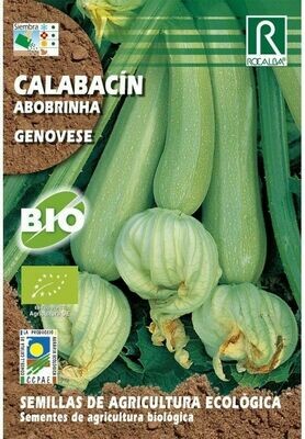 HORTALIZAS ECOLOGICAS CALABACIN GENOVESE