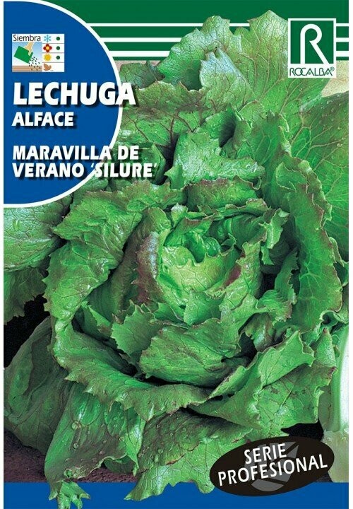 HORTALIZAS PROFESIONAL LECHUGA MARAVILLA DE VERANO "SILURE"
